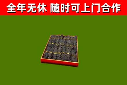 云阳县回收海参